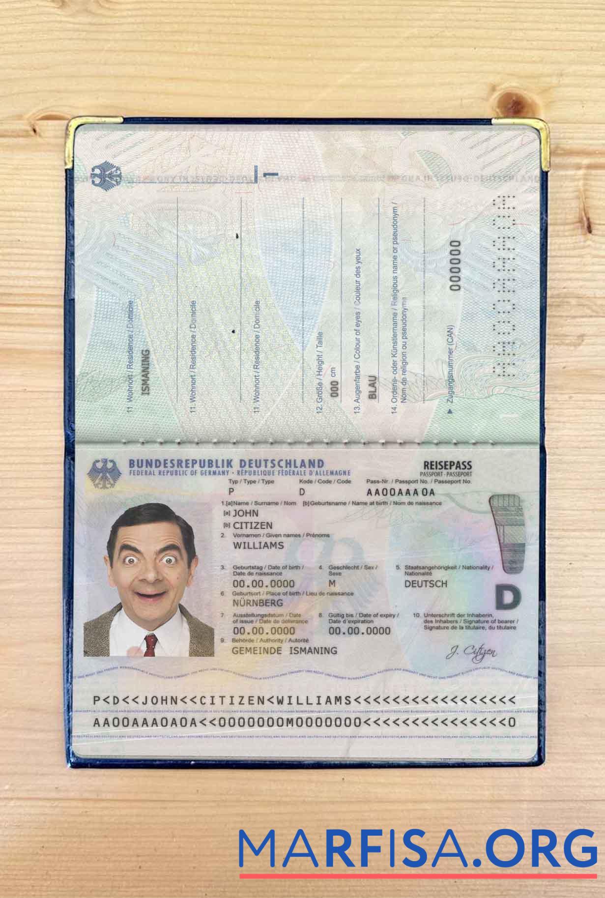 Downloadable Germany passport (2017 present) photo look download for verification